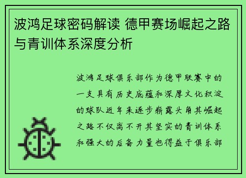 波鸿足球密码解读 德甲赛场崛起之路与青训体系深度分析